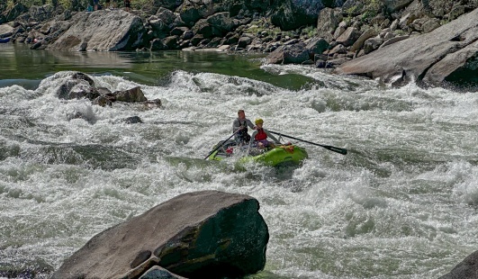 Row Your Own - Full Salmon