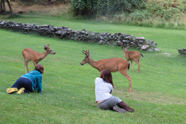 Family with the deer at Black Bar lodge on the Rogue River